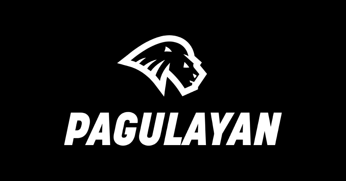 pagulayan.net