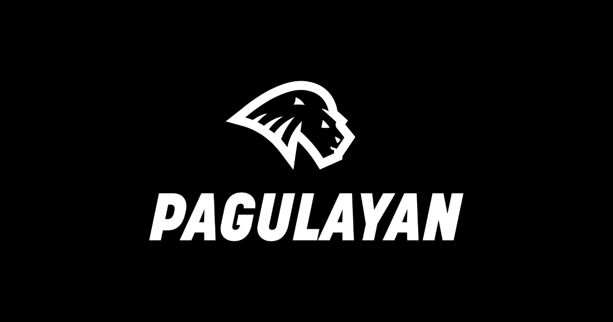 pagulayan.net