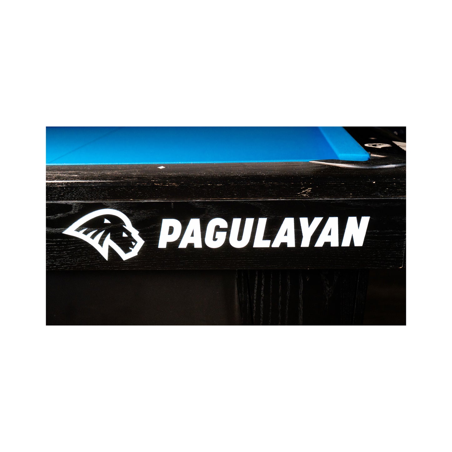 PAGULAYAN POOL TABLE VINYL DECAL - LARGE