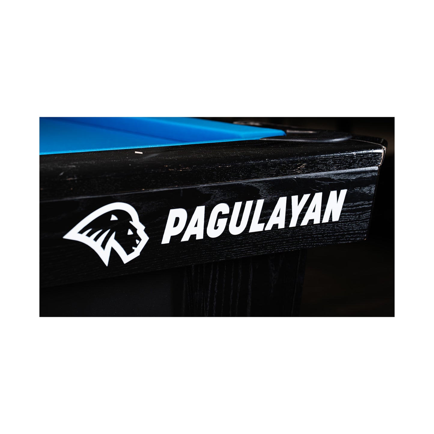 PAGULAYAN POOL TABLE VINYL DECAL - LARGE