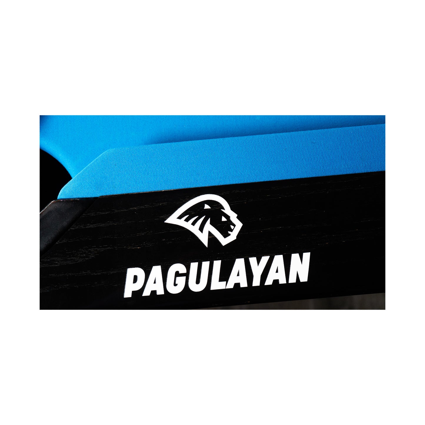 PAGULAYAN POOL TABLE VINYL DECAL - SMALL