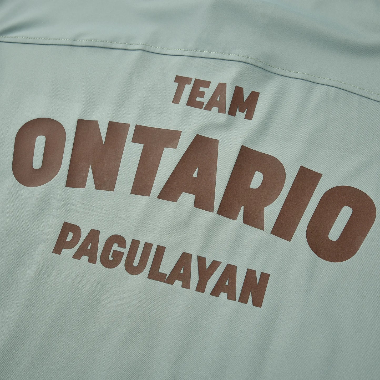 Close-up of the back print on the Ontario Pagulayan billiards jersey showing the TEAM ONTARIO design in bold brown text.