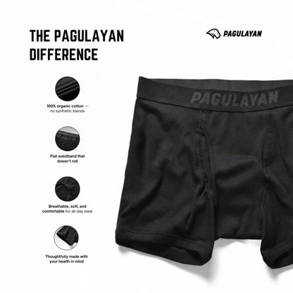 Pagulayan boxer briefs highlighting organic cotton fabric, flat waistband, breathable design, and all-day comfort.