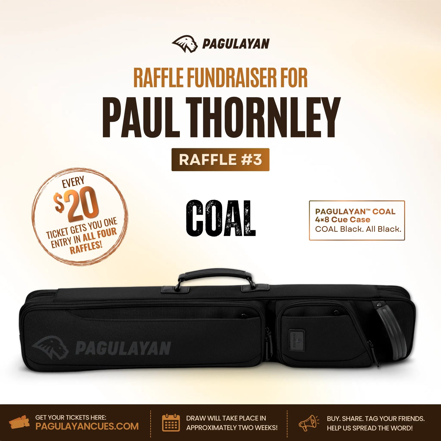 Pagulayan Coal 4x8 cue case featured as Raffle #3 in the Paul Thornley fundraiser raffle.
