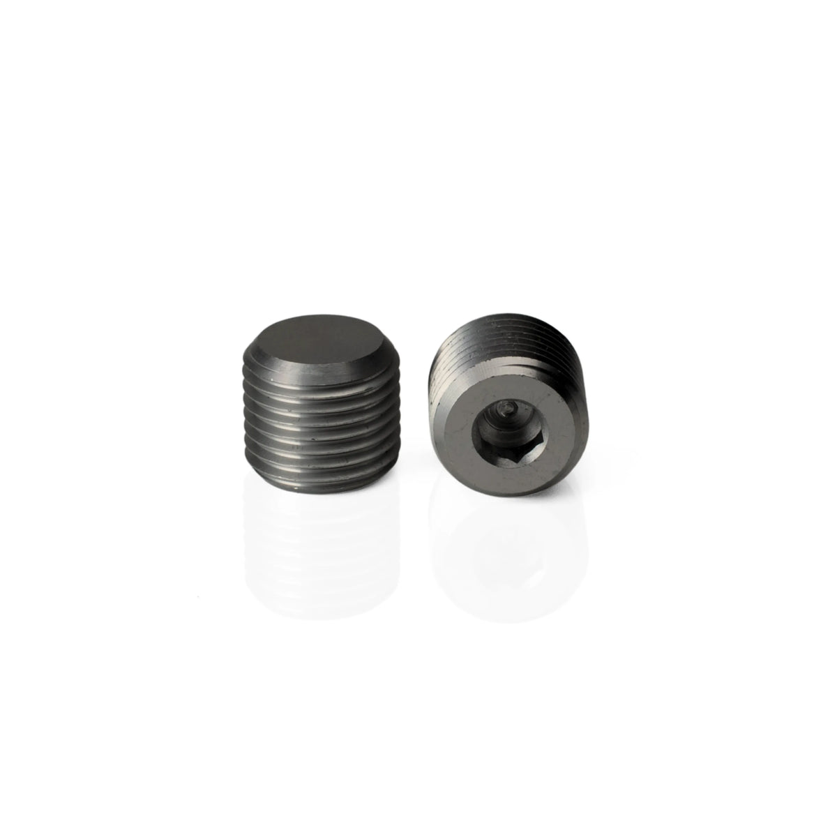 Two threaded Pagulayan cue weight bolts, with one showing the recessed Allen wrench socket for adjustment.