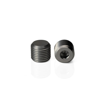 Two threaded Pagulayan cue weight bolts, with one showing the recessed Allen wrench socket for adjustment.